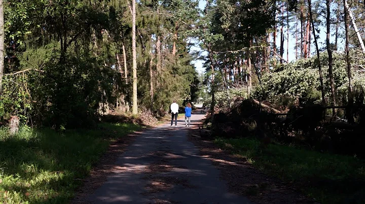 Gyvenimo su demencija istorijos. Jolita Švatienė. „Mes visi esame svarbūs“