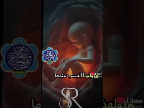 و ق ض ى ر ب ك أ ل ا ت ع ب د وا إ ل ا إ ي اه و ب ال و ال د ي ن إ ح س ان ا