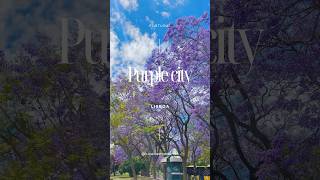 Purple city ?? travel viagem traveling portugal spring wanderlust travelvlog