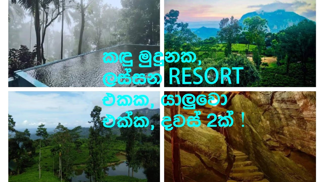 Udagilma Tea Estate Resort 2 day trip with friends 😍 with a beautiful view of mountains with fog 💚