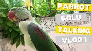 Parrot Golu Talking Vlog 1