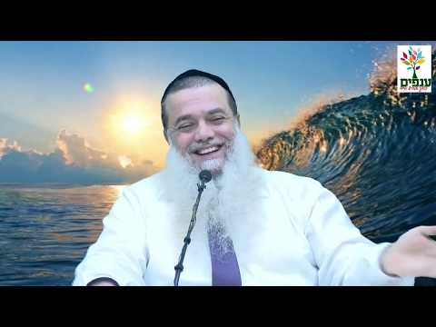 האם מותר ללכת לים? - הרב יגאל כהן HD - שידור חי