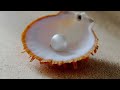 Sunday Word Matthew 13:45-45 👑Parable of the Hidden Pearl🐚#jesus #foryou #hawaii #grace 