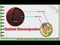 Carbon Nanocapsules: An Introduction, Overview and Use in our Daily life