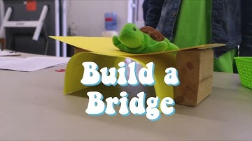 Build a Bridge
