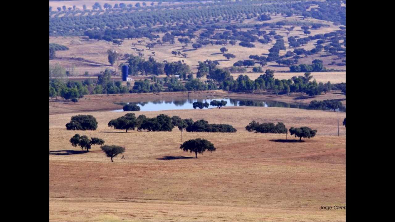 meu lindo  alentejo