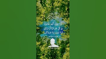 سورة التوبة الآية126_Surah At-Tawbah🦚⚘️🦚