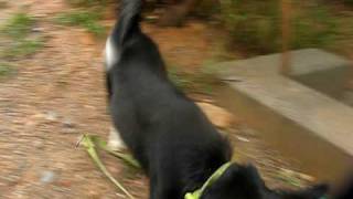 MVI_6286.AVI