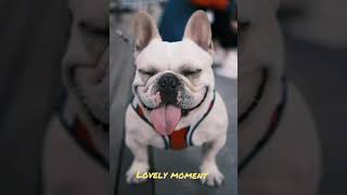 Tawa Muna,, Para Tanggal Stress, Renzmarcoll Bbyseven