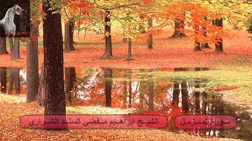 ابراهيم مفضي الشراري - سورة المزمل