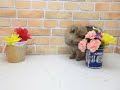 ワンラブ ペットショップ 名古屋市 253918 ワンラブ ペットショップ 名古屋市 253918