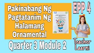 Pakinabang Ng Pagtatanim Ng Halamang Ornamental - EPP 4