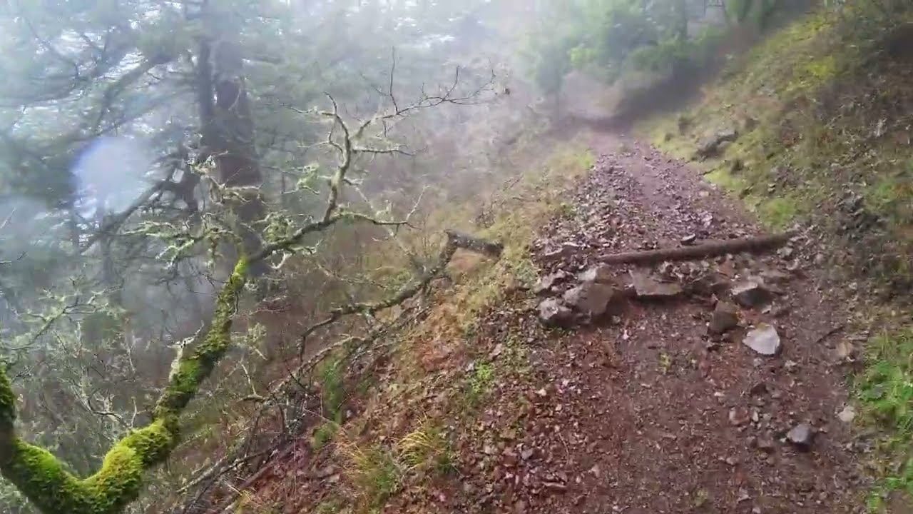 Dog Mountain Winter Hike