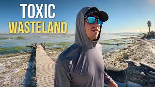 The Salton Sea: From Beach Paradise to Toxic Wasteland