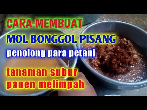 Cara Membuat Mol Bonggol Pisang