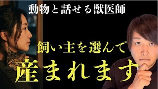 ペットからの飼い主への愛が強烈。