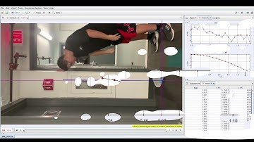 Phys 2211 Lab 2: Motion of a Falling Object