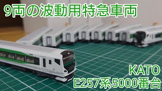 [製品化された波動用特急] KATO E257系5000番台特急電車を見ていこう