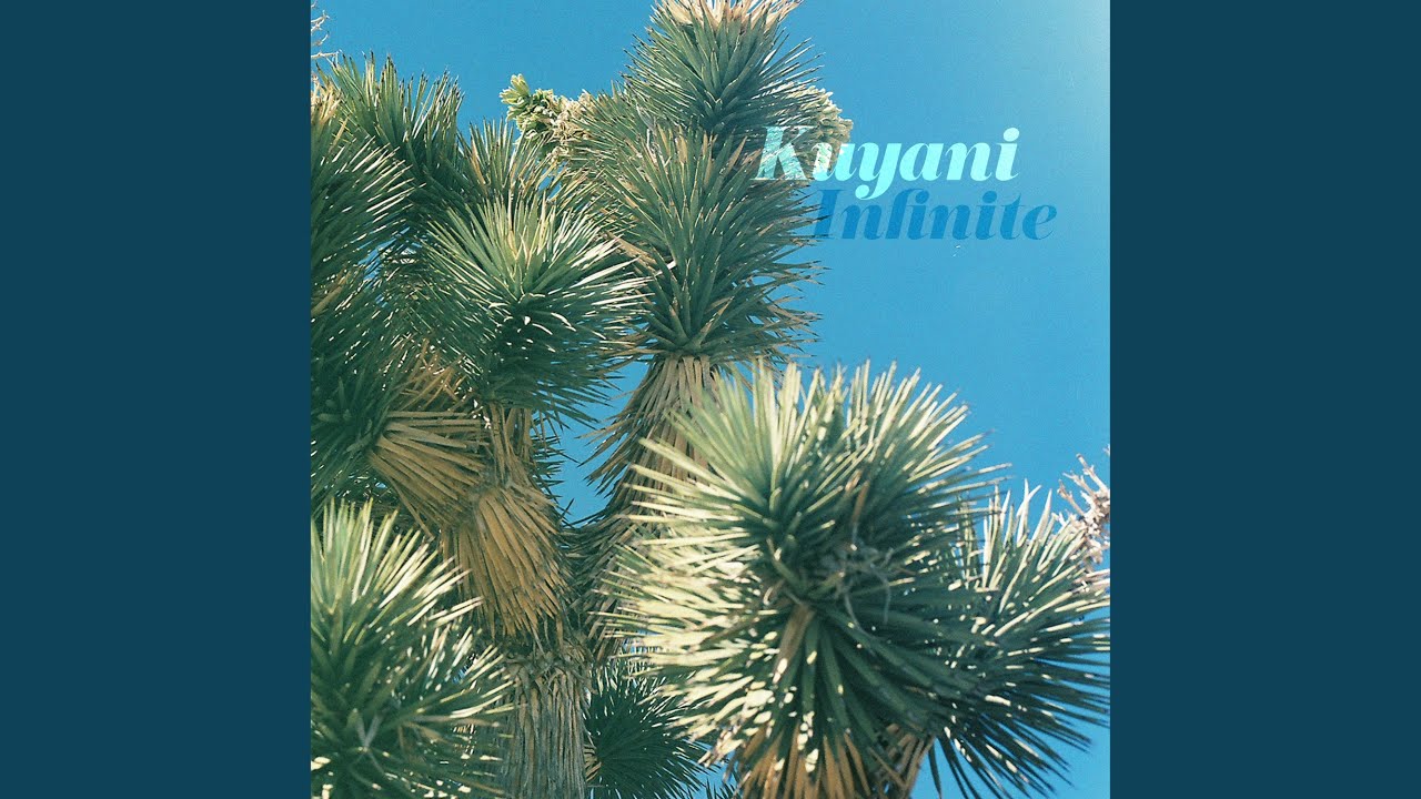 Wave Remote (Alternative Version)