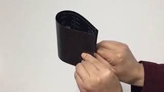 P4 Soft Module Showing In The Scene