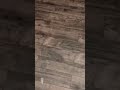 قلبي انا مـ ألومه اذا ضيع علومه تصميم