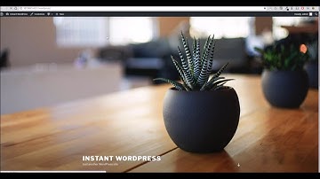 Waves WordPress Theme - Getting Started