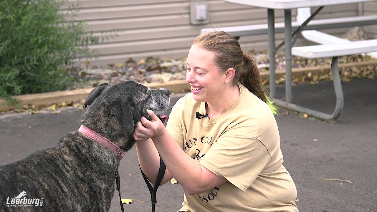 puppy paradise Adopt Tasha