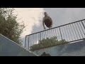 Amazing Parkour and Freerunning 2016
