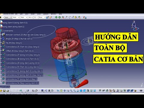 Video: Catia bao nhiêu tuổi?