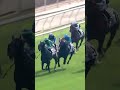 4 | MOUNT EVEREST | M L Yeung | #MLYeung #Yeung #Horse #Racing #Sport #Results #賽馬結果 #马會 #油管 #赛马结果