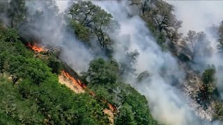 Evacuations ordered in wildfire burning in hills above Pleasanton