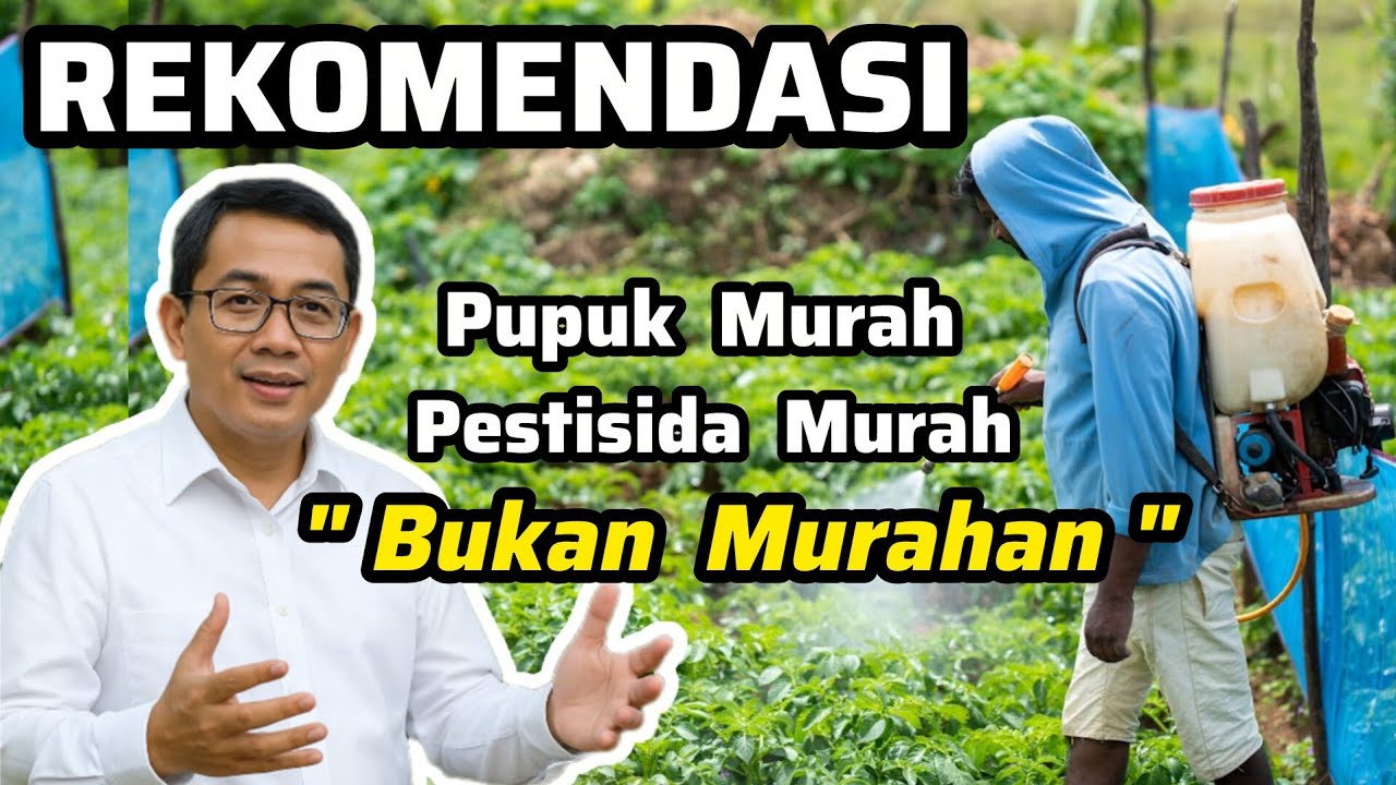 ‼️REKOMENDASI PUPUK + PESTISIDA MURAH ‼️Kutu Daun + Ulat + LALAT Buah + Layu Busuk Jamur Bakteri‼️