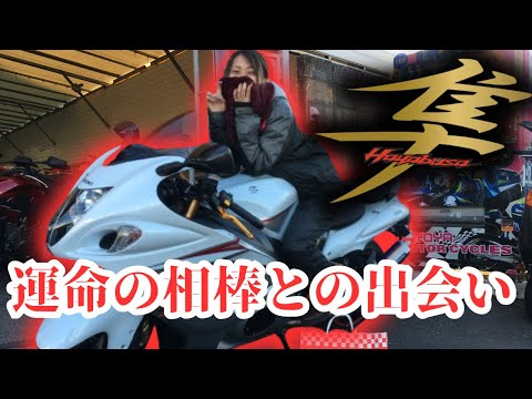 はやぶさ☆ 隼(GSX1300Rハヤブサ)とニンジャZX-14Rの違いを比較
