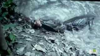Can Electric Eels Burn and Kill People? | River Monsters
