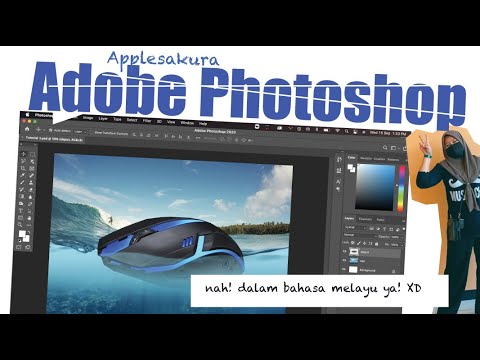 Video: Apakah pakej gambar dalam Photoshop?