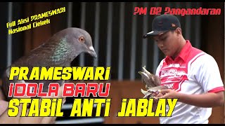 Prameswari Idola Baru Stabil Anti Jablay