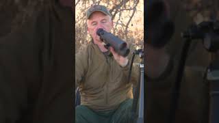 Choosing the RIGHT Optics for Deer Hunting #hunting #binoculars #muledeer #couesdeer