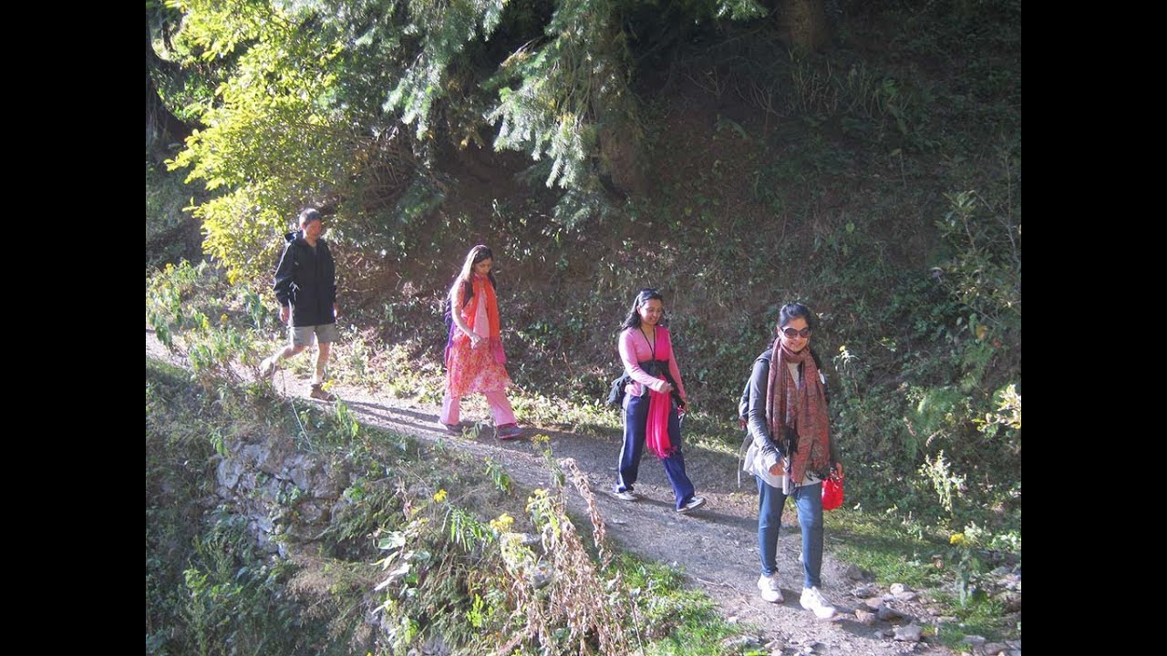 Mushkpuri Top|Hiking with Hashimzada Murad|Mushkpuri Donga Gali Track Guide Vlog 2025|Viralwaves wow