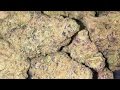 GIRL SCOUT COOKIES STRAIN REVIEW - YouTube