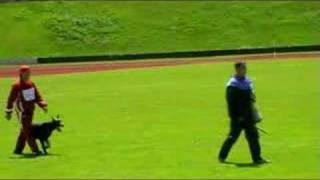 IDC-2008 Tahi-Reme Gerett 93p