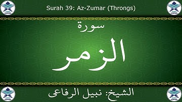 القرآن الكريم بصوت نبيل الرفاعي - سورة الزمر