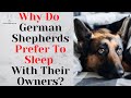 Why Do German Shepherds Prefer To Sleep With Their Owners?