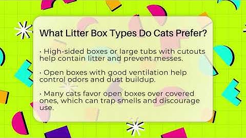 What Litter Box Types Do Cats Prefer? - Happy Cat Handbook