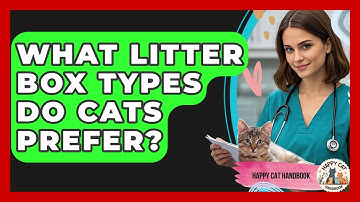 What Litter Box Types Do Cats Prefer? - Happy Cat Handbook