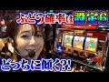 のんびりネオアイムでも打ちますか