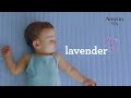 Discover aveeno baby calming comfort  bedtime range  for normal to dry skin