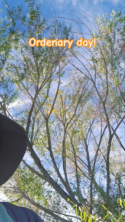 ordenary days! #music #shortvideo #nature #hiking