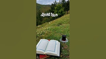 قرأن كريم راحة نفسية ❤️#القرآن_الكريم #اكسبلور #تلاوة_خاشعة #دويتو #الشيخ #storytime #buti