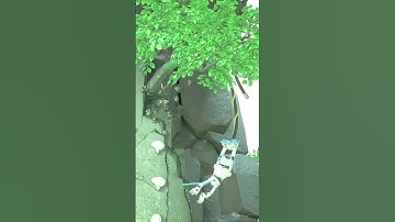 Astros playroom - climbing run record!  #astrobot #gaming #ps5 #astrobotps5