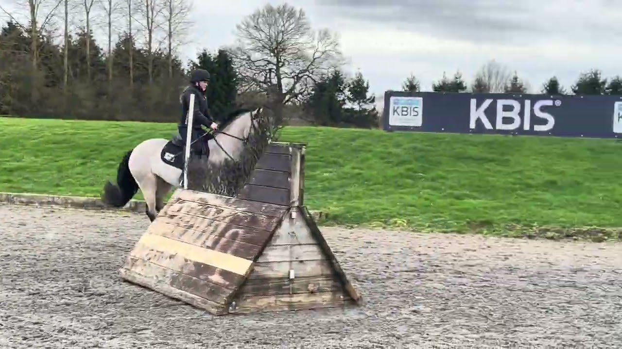 Teddy - XC at Aston Le Walls